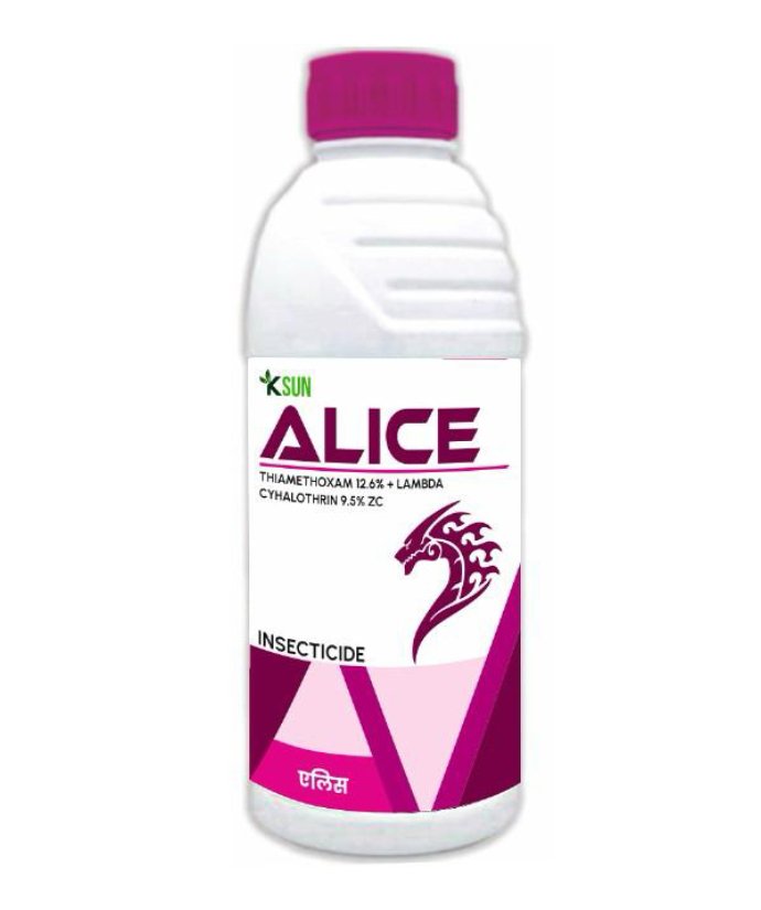 Alice