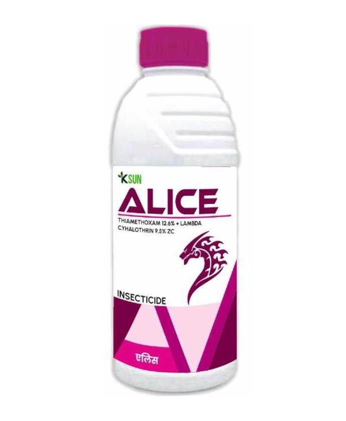 Alice