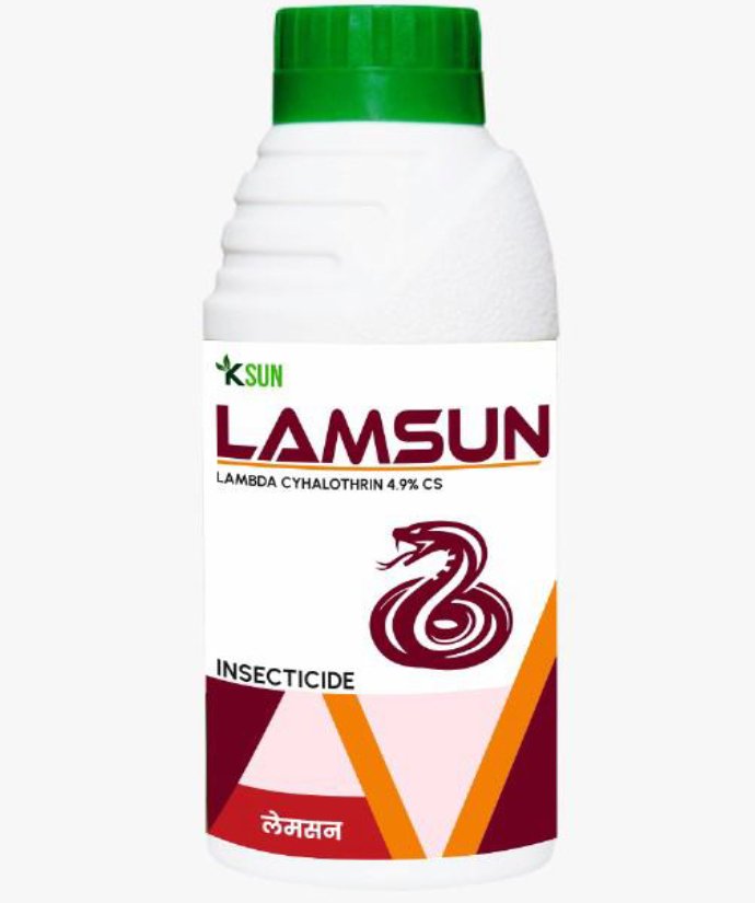 Lamsun