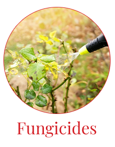 Fungicides